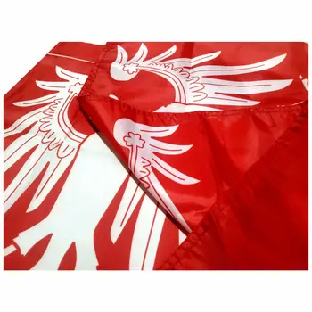 Zastava Švicarske Thurgau 120x120 cm (4x4 stope) 120 g 100D Poliester Dvostrukom Žicom visoko kvalitetni Banner Besplatna Dostava 2